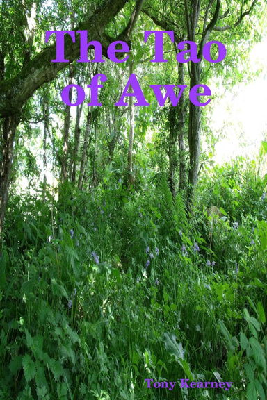 The Tao of Awe