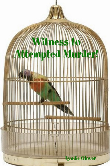 Witness to Attempted Murder!