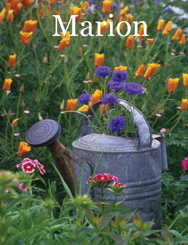 Marion