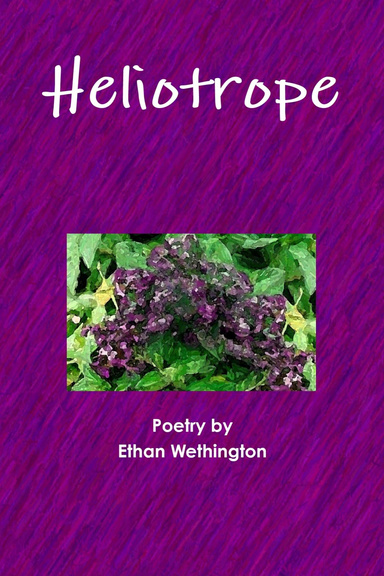 Heliotrope