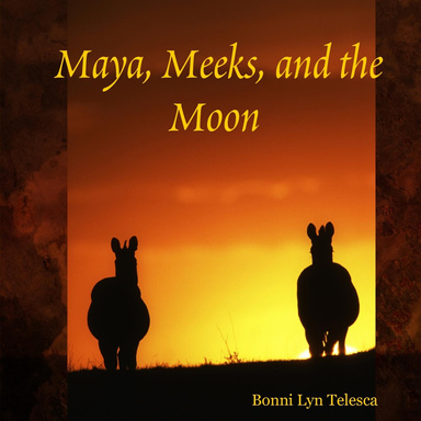Maya, Meeks, and the Moon