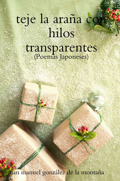 teje la araña con hilos transparentes