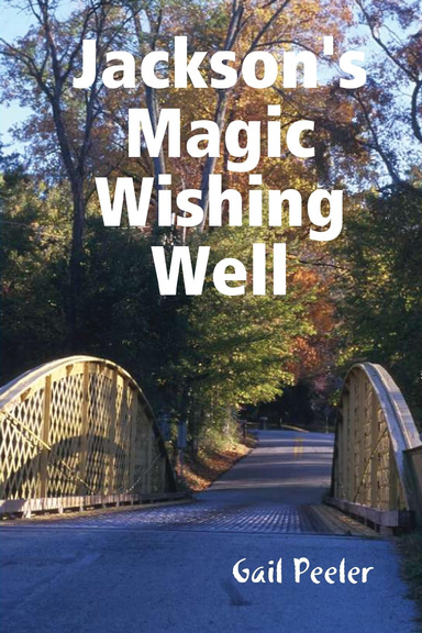 Jackson's Magic Wishing Well