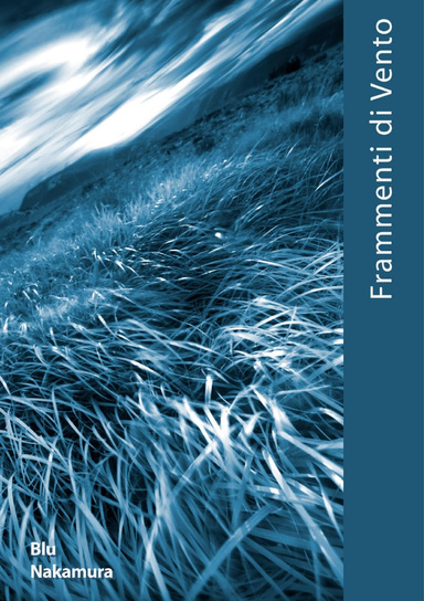 Frammenti di Vento