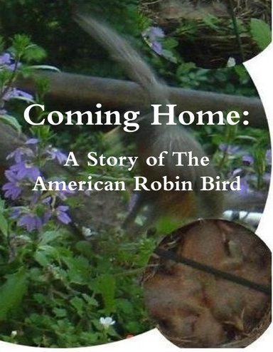 Coming Home: A Story about The American Robin Bird