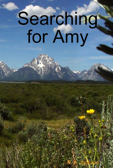 Searching for Amy