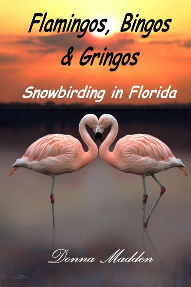 Flamingos, Bingos & Gringos
