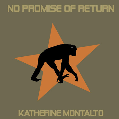 No Promise Of Return