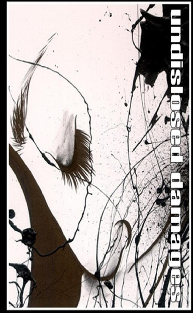 Undisclosed Damages (working version)
