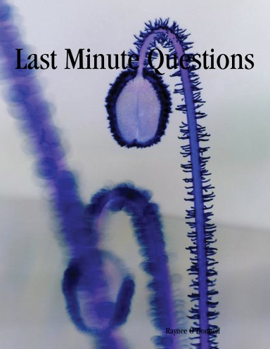 Last Minute Questions