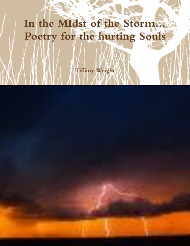 In the MIdst of the Storm... Poetry for the hurting Souls