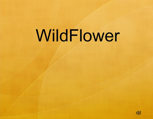 WildFlower