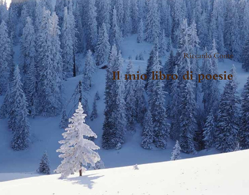 Il mio libro di poesie