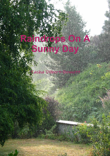 Raindrops On A Sunny Day