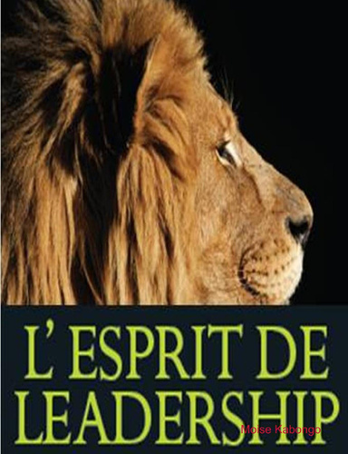 L'esprit de leadership
