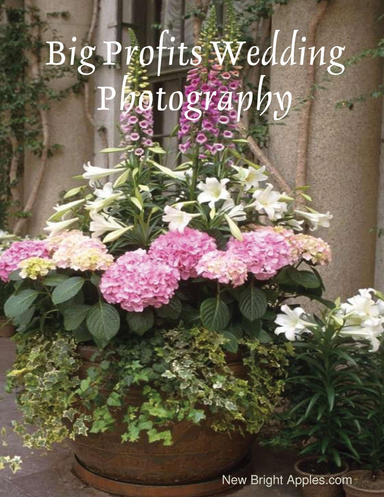 Big Profits Wedding Photography