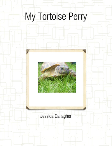 My Tortoise Perry