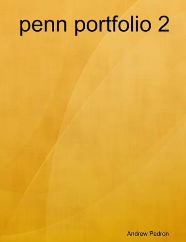 penn portfolio 2