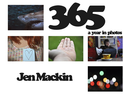 365: A Year in Photos