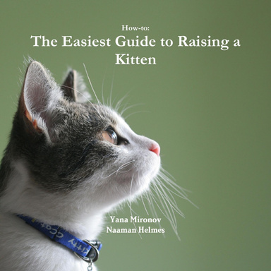 How-to: The Easiest Guide to Raising a Kitten