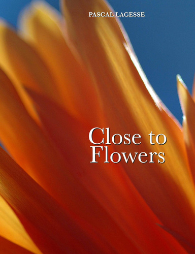Close to Flowers