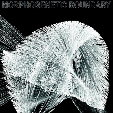 Morphogenetic Boundary