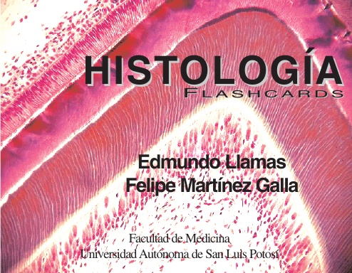Histología Flashcards Landscape