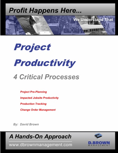 Project Productivity - 4 Critical Processes