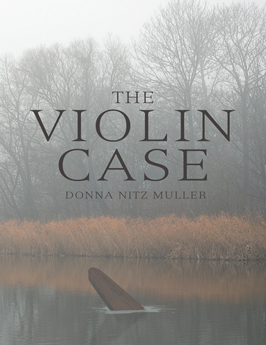 The Violin Case