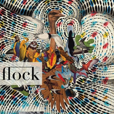 Flock 18