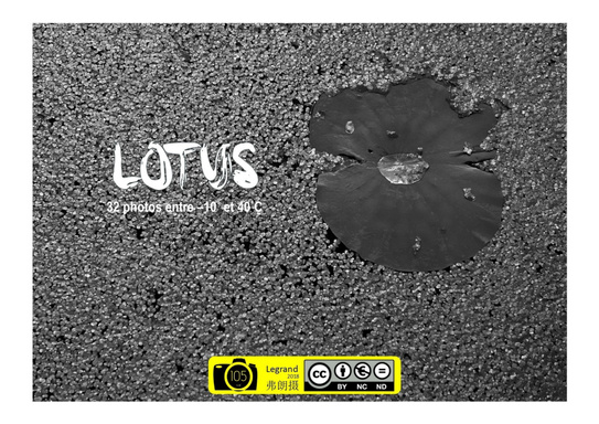Lotus - 32 horizontales