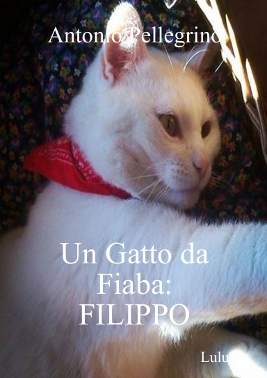 Un Gatto da Fiaba: FILIPPO