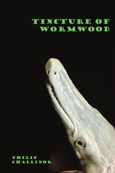 Tincture of Wormwood