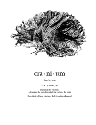Cranium