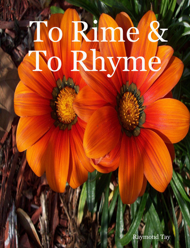 To Rime & To Rhyme