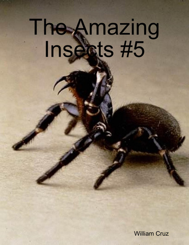 The Amazing Insects #5