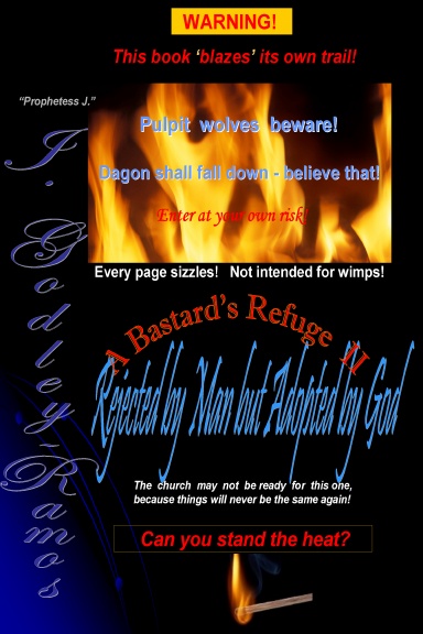A Bastard's Refuge II  Rejected by Man but Adopted by God