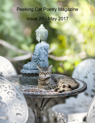 Peeking Cat Poetry Magazine Issue 25 - May 2017
