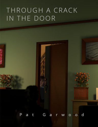 Through a Crack In the Door