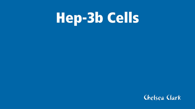 Hep-3b Cells