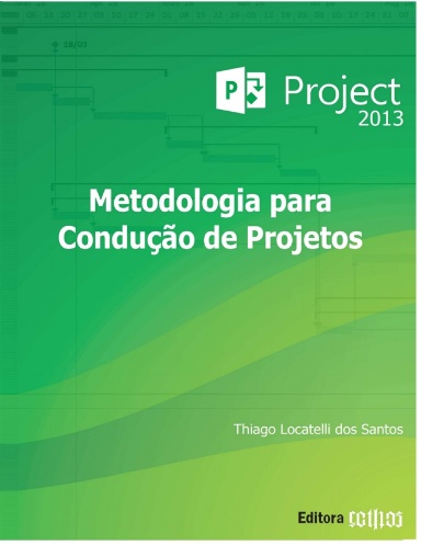 MS PROJECT 2013 Metodologia para Condução de Projetos