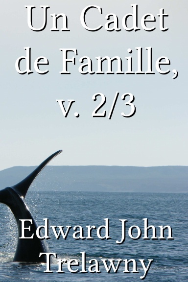 Un Cadet de Famille, v. 2/3 [French]