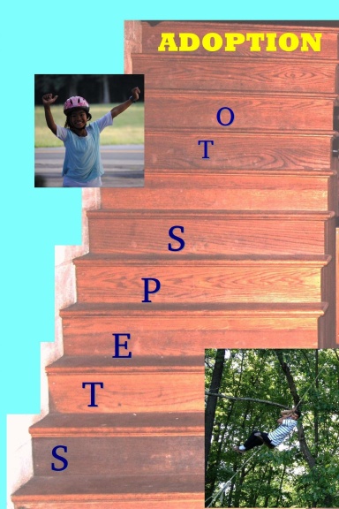 Steps to Adoption