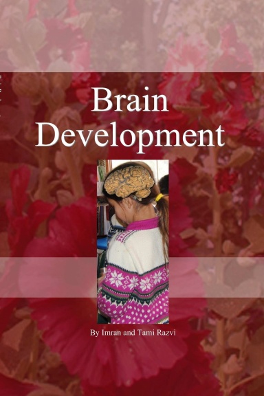 Brain Development