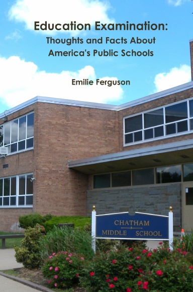 Education Examination: Thoughts and Facts About America's Public Schools
