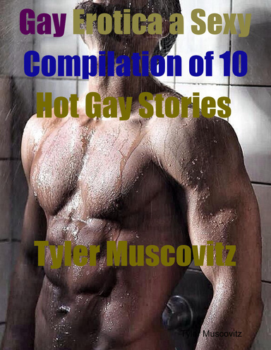 Gay Erotica a Sexy Compilation of 10 Hot Gay Stories