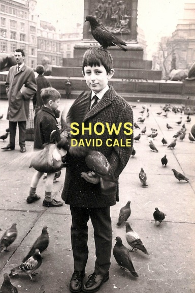 Shows
