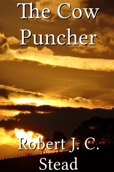 The Cow Puncher