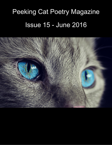 Peeking Cat Poetry Magazine Issue 15 - June 2016
