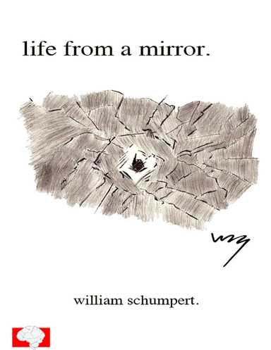 Life from a Mirror